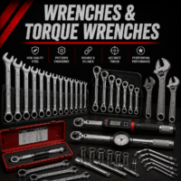 Wrenches & Torque Wrenches